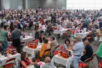 Concours de Bordeaux-Vins d'Aquitaine:le palmarès 2019