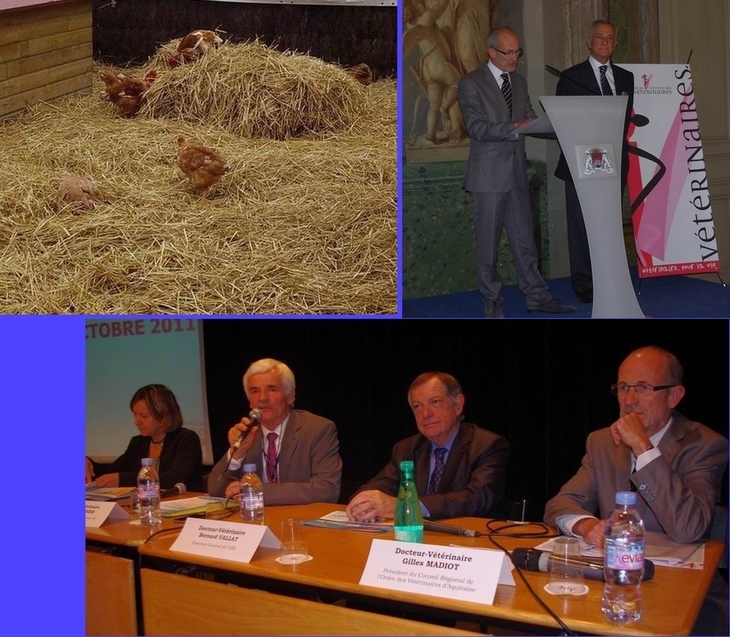 Poulets, réception à la mairie, conférence (montage Paysud) Poulets, réception à la mairie, conférence (montage Paysud)