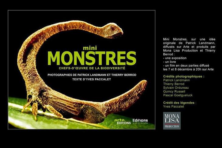 Les mini-monstres de l'Amazonie s'exposent en Gironde