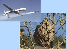 Montage avec ph nid Fredciel (Wikipedia) Montage avec ph nid Fredciel (Wikipedia)