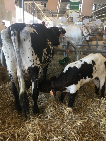 Salon de l'Agriculture de Nouvelle Aquitaine:du changement dans l'air