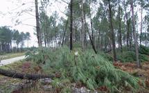 En Aquitaine,le spectre les tempêtes...( Ph Paysud)