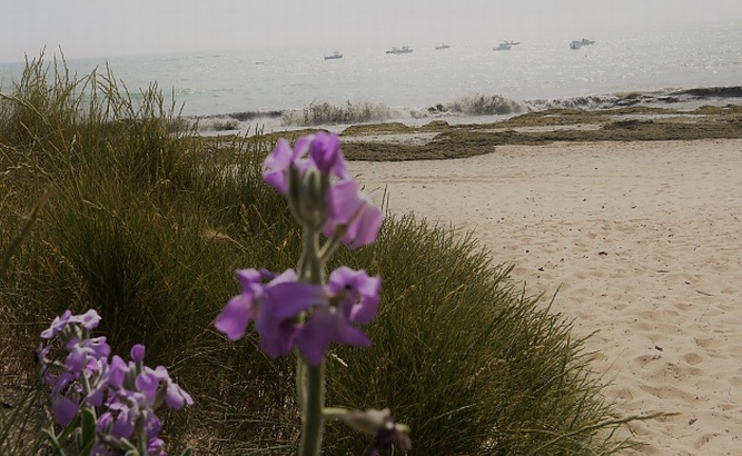 Vacances:ceux qui partent plus et ceux qui partent moins