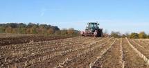 Quand Eva Joly se trompe sur l'installation des jeunes agriculteurs la FNSAFER répond