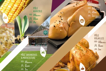 Maïsadour: une activité très diversifiée (ph site du groupe) Maïsadour: une activité très diversifiée (ph site du groupe)