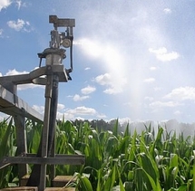 Ph Arvalis Ph Arvalis