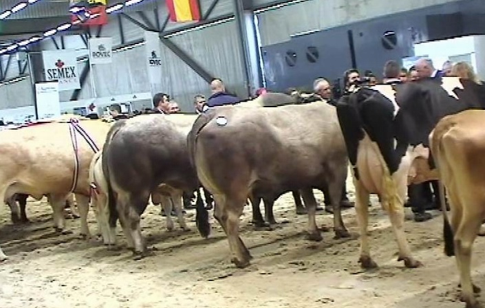 Le Salon de l'Agriculture de Nouvelle-Aquitaine fait peau neuve