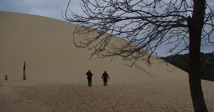 Dune du Pyla. Mais les réservations sont interdites sur la côte jusqu'au 15 avril (ph Paysud)