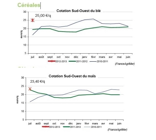 La récolte française de blé est en hausse et les céréaliers veulent produire plus La récolte française de blé est en hausse et les céréaliers veulent produire plus