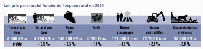 Marché foncier 2019:déjà un mouvement vers la campagne
