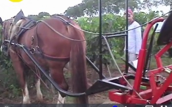 Ph PaysudTv (archives) Ph PaysudTv (archives)