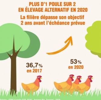 La consommation d'œufs a explosé pendant le confinement