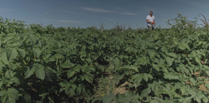 Occitanie et Nouvelle-Aquitaine championnes du bio