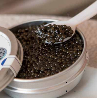 L'appel des producteurs de caviar français