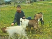 Image exrtaite d'une vidéo Daylimotion; Clicker pour la voir Image exrtaite d'une vidéo Daylimotion; Clicker pour la voir