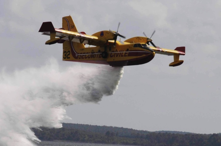 Forêt sud-européenne:un forum sur la peur du feu