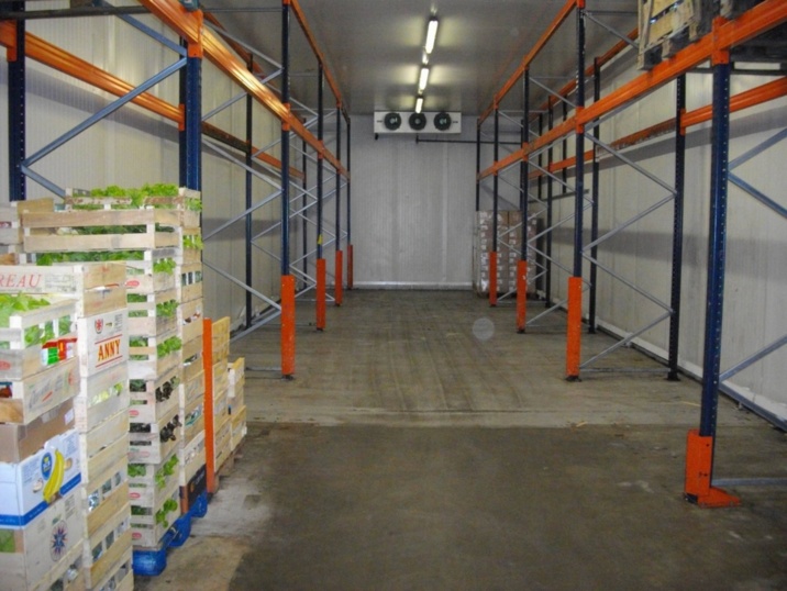 Maigre stock (Ph Paysud) Maigre stock (Ph Paysud)