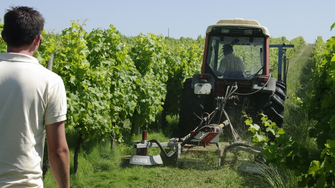 Le Vinopôle de Gironde devient Bordeaux-Aquitaine