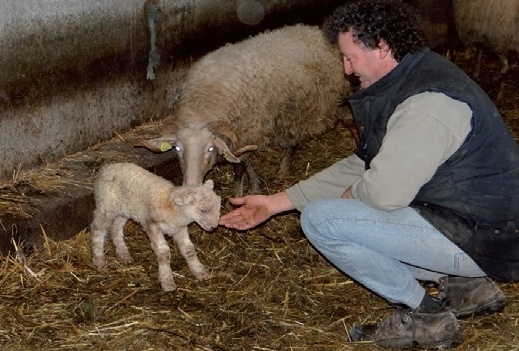 L' agneau de lait des Pyrénées monte à Paris lancer son IGP