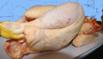 Poulet élevé dans le sud-ouest (ph Paysud) Poulet élevé dans le sud-ouest (ph Paysud)