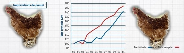  La  viande de volaille de plus en plus importée