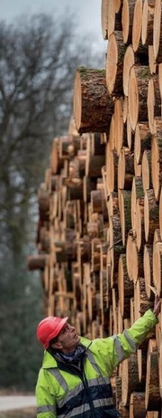 La filière bois s'engage dans la 