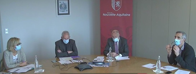 Présentation en visio-conférence (DR) Présentation en visio-conférence (DR)