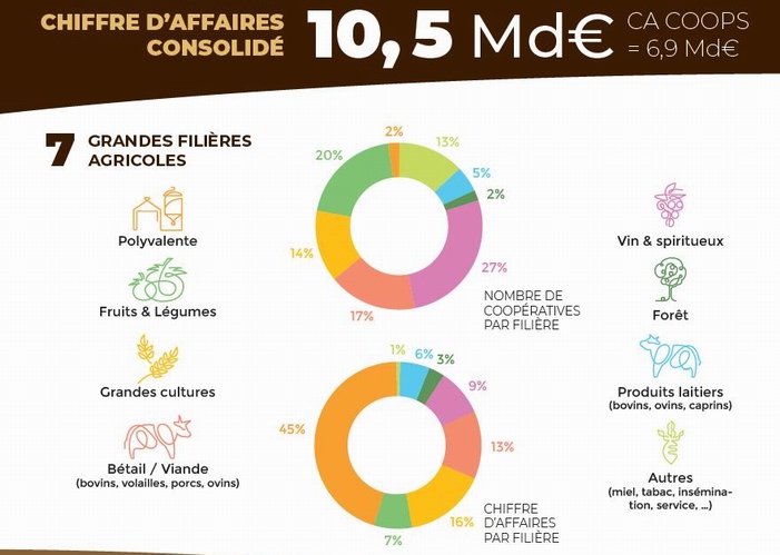 Les coopératives agricoles  tracent leur sillon