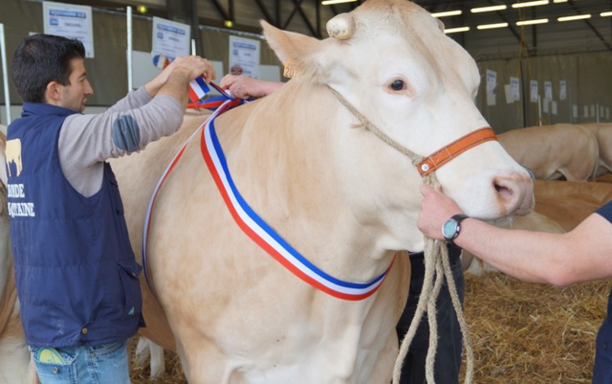 Les concours Aquitanima en préparation (ph Canal Com)