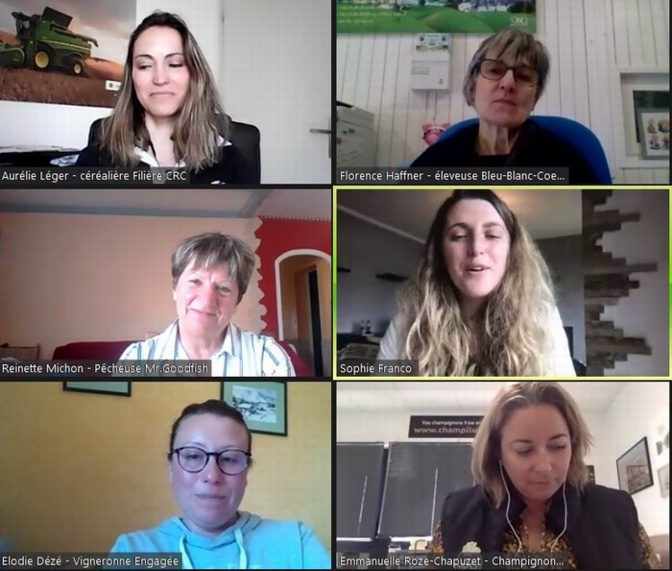 Au cours de la visio-conférence (capture d'écran DR) Au cours de la visio-conférence (capture d'écran DR)