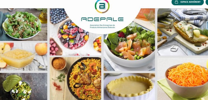 Capture d'écran site ADEPALE Capture d'écran site ADEPALE