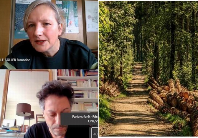 Quand la COVID fait redécouvrir la forêt