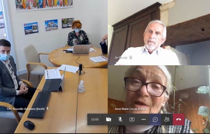 Au cours de la visio-conférence (DR) Au cours de la visio-conférence (DR)