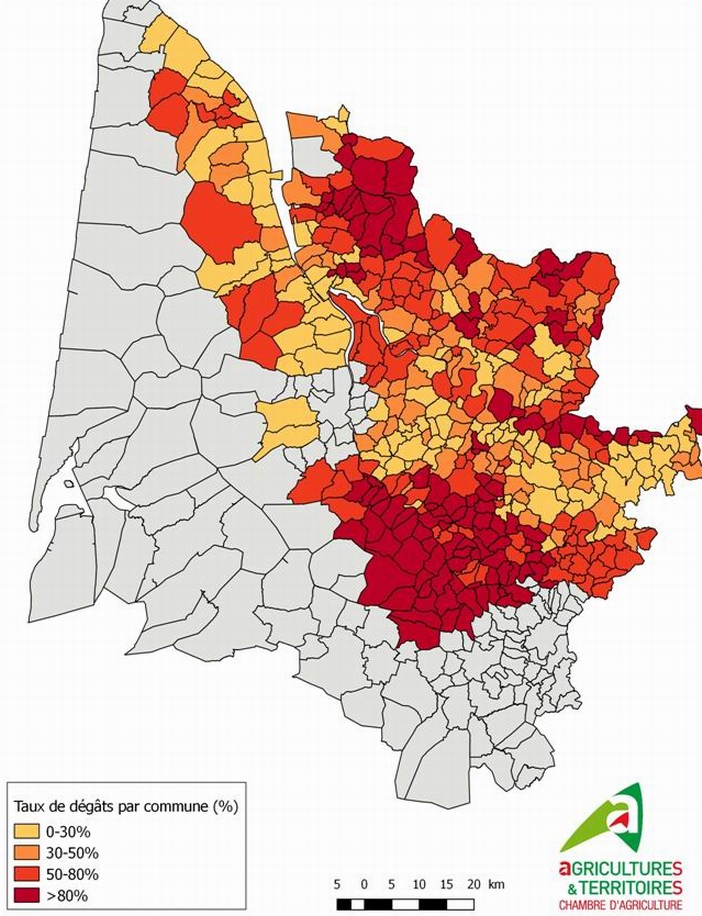 La carte du gel en Gironde La carte du gel en Gironde