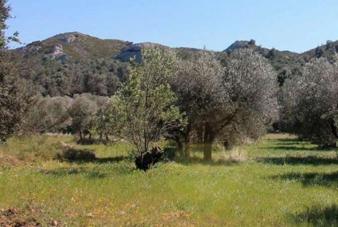 La région Sud renforce le tourisme responsable