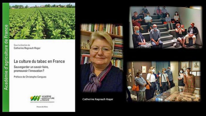 Photomontage RD Photomontage RD