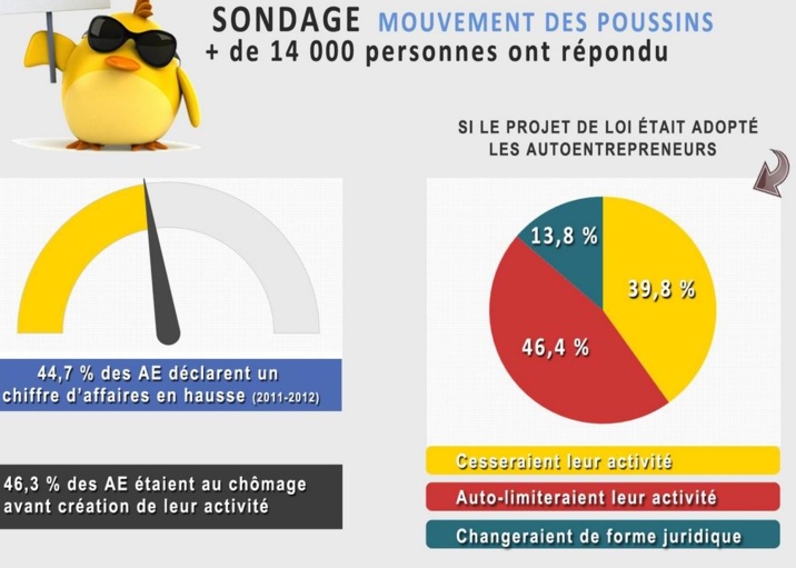 Copie d'écran du site des Poussins (DR)