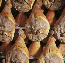 Ph Consortium Ph Consortium