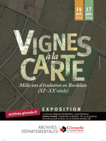 Vignes à la carte à Bordeaux