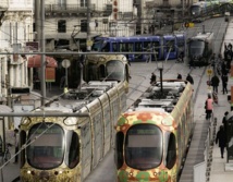 Les trams de Montpellier (Ph site TAM) Les trams de Montpellier (Ph site TAM)