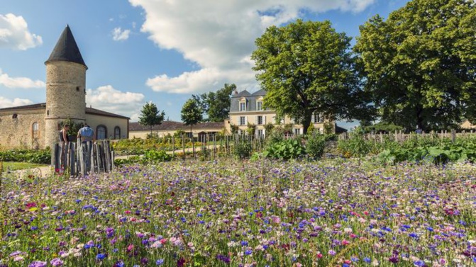 Château Guiraud sacré «International Best Of Wine Tourism 2022 »