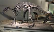 Bientôt des dinosaures en réalité augmentée au zoo de Pessac (Gironde)