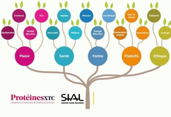 "L'arbre" des tendances (DR) "L'arbre" des tendances (DR)