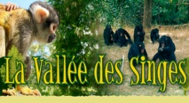 Ph site Vallée des Singes Ph site Vallée des Singes