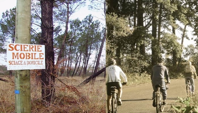 Le Parc Naturel régional des Landes de Gascogne renouvelé pour 12 ans