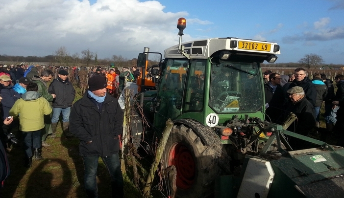 Travaux d'hiver à la vigne:la mécanisation gagne du terrain