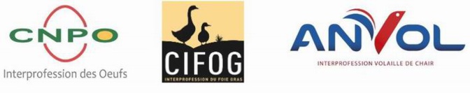 Les professions avicoles alertent le gouvernement Les professions avicoles alertent le gouvernement