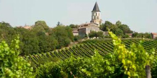 Les chemins de la vigne à travers le sud-ouest