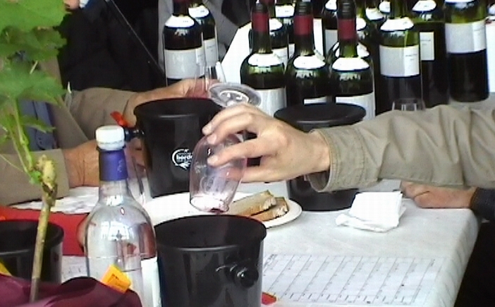 Au concours des vins de Bordeaux (Ph Paysud)