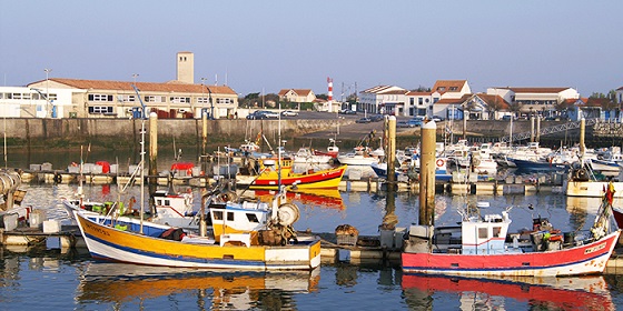 Pêche:le port de La Cotinière fait peau neuve